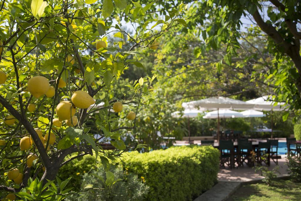 Aparthotel Mr. Dim Exclusive Göcek